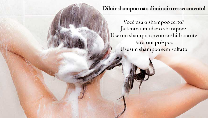 Diluir shampoo com água - sim ou não?